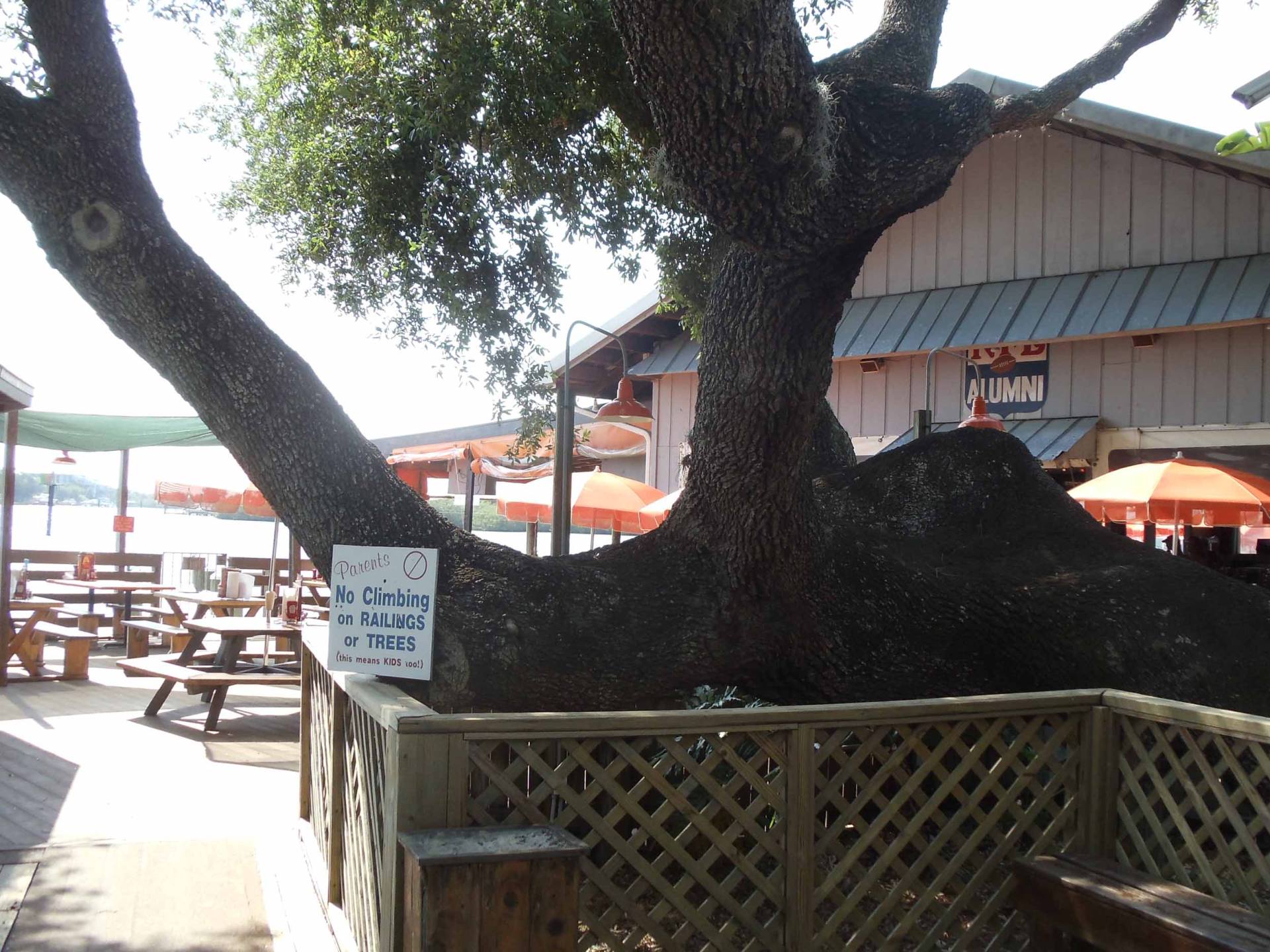 Hooters of Port Richey, United States of America, Florida beach bar with view at the sea